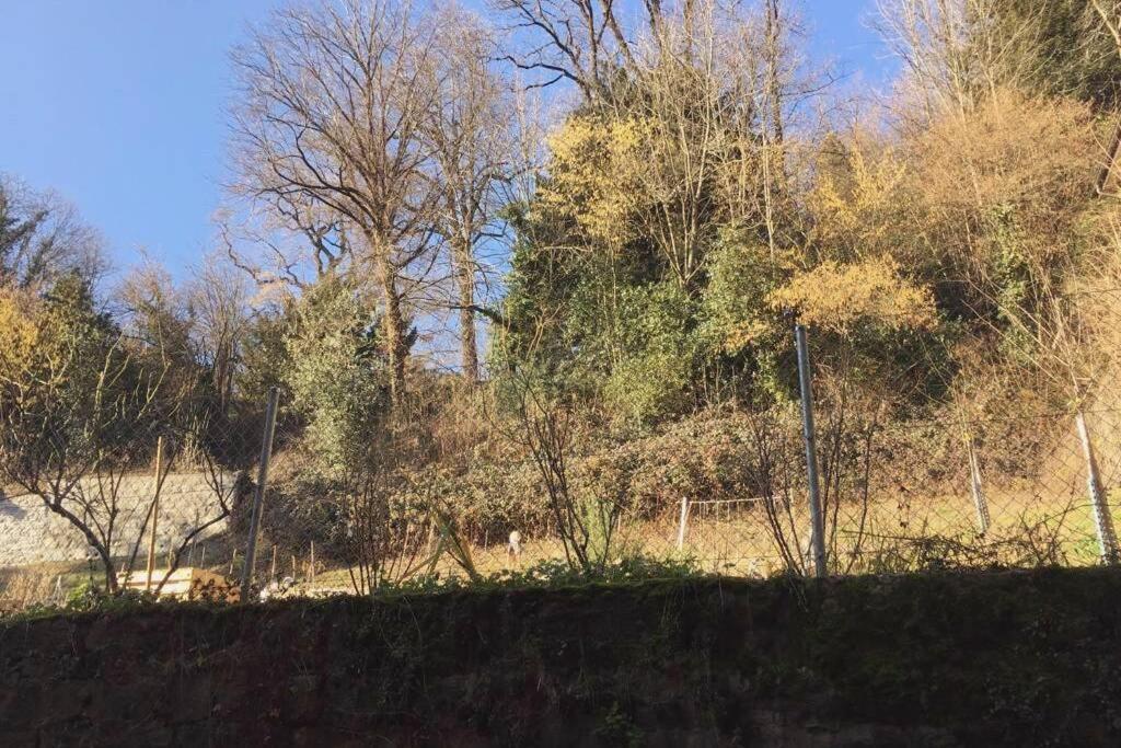 Centre Lausanne 2 Pieces エクステリア 写真
